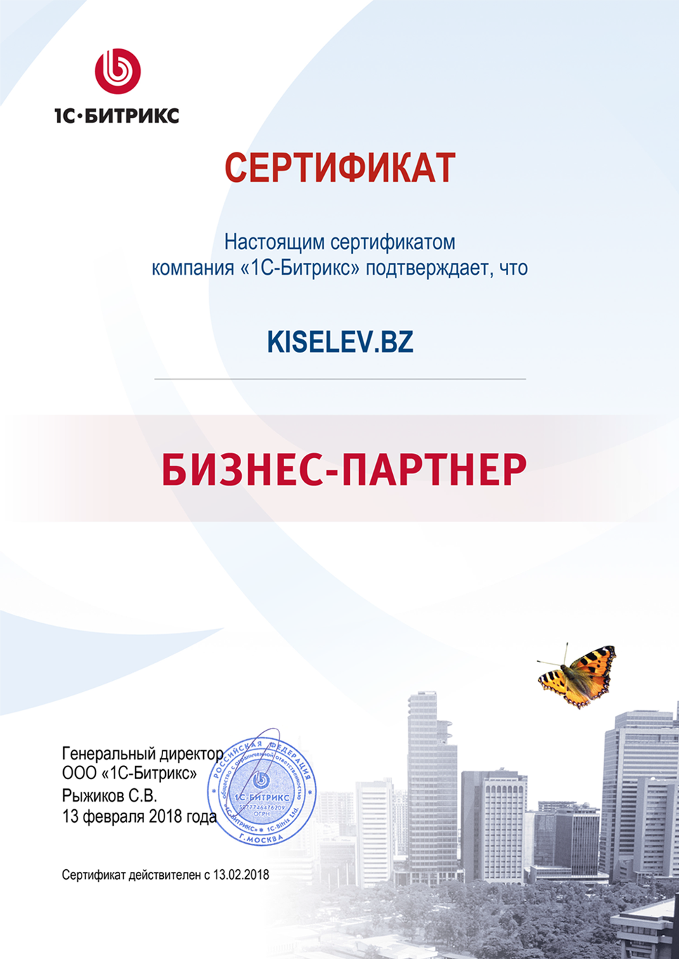 Сертификат партнёра по СРМ системам в Сарове